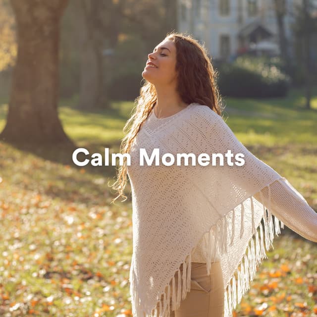 Calm Moments - Peaceful Music