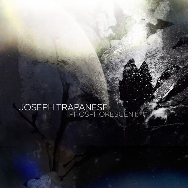 Phosphorescent - Joseph Trapanese