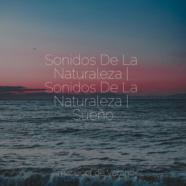 Relaxing Mindfulness Meditation Relaxation Maestro