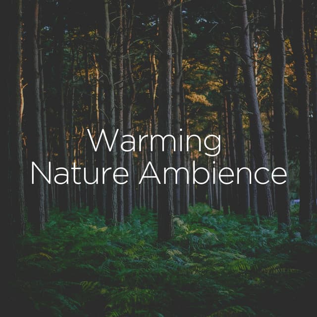 Warming Nature Ambience - Sound of Nature Library