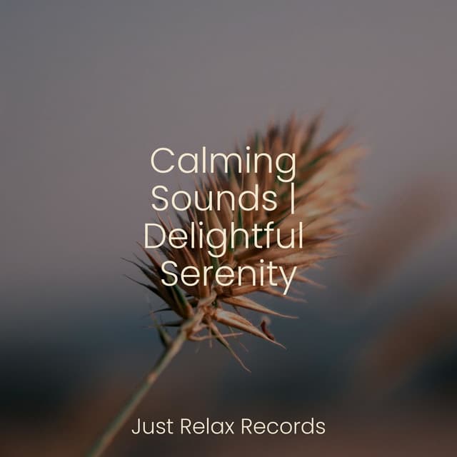 Relaxing Music