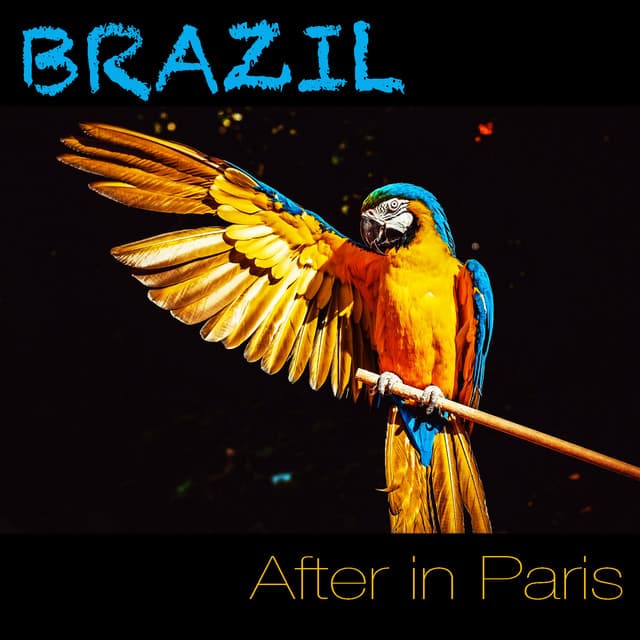 Brazil - After In Paris