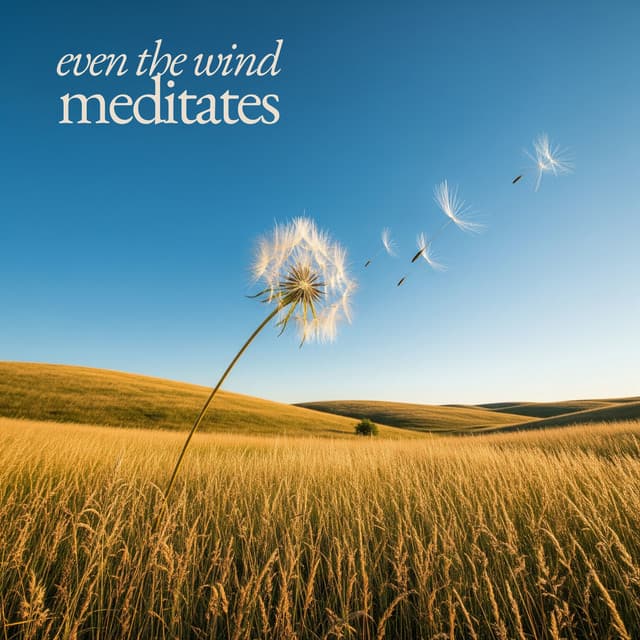 Even the Wind Meditates - Tranquility Spree