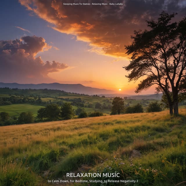 Relaxation Music to Calm Down, for Bedtime, Studying, to Release Negativity 2 - Sleeping Music for Babies