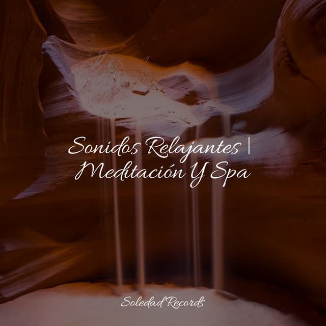 Sonidos Relajantes | Meditación Y Spa - Música relaxante