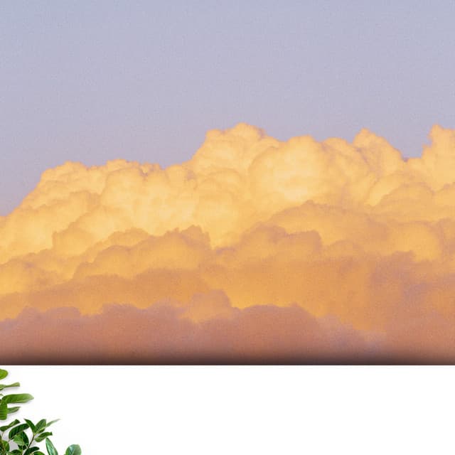 Sons et bruits de la nature : sérénade au coucher du soleil - Relajacion