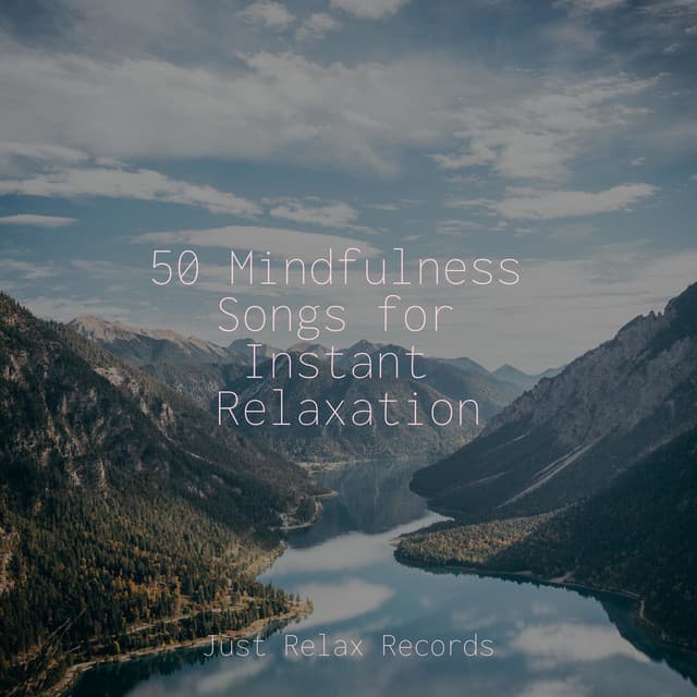 50 Mindfulness Songs for Instant Relaxation - Lounge relax