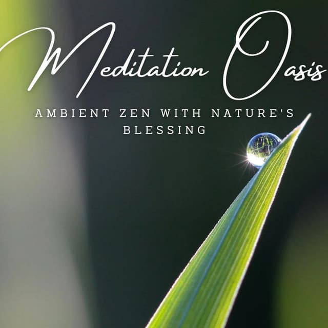 Rainfall Meditation Oasis: Ambient Zen with Nature's Blessing - Calm Sleep Rain Sound