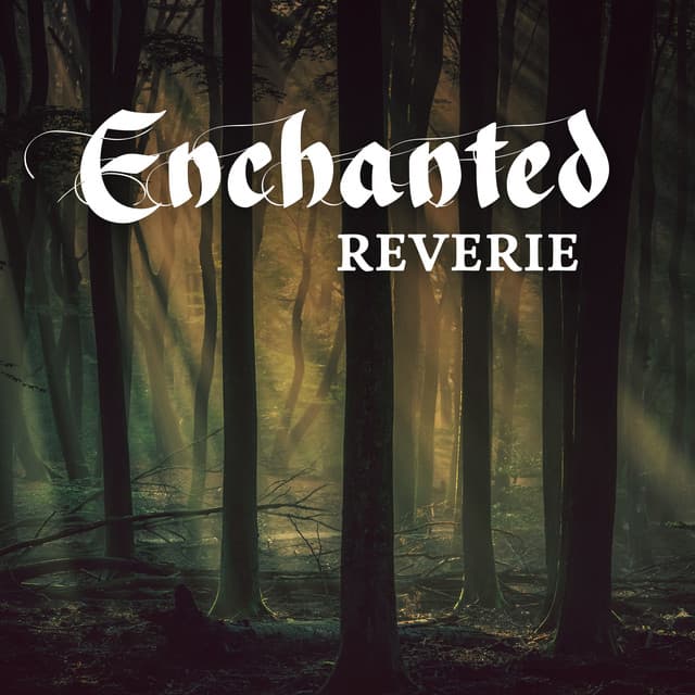 Enchanted Reverie - Tom Barkes