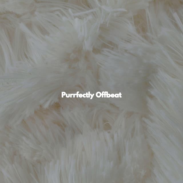 Purrfectly Offbeat - Light New Orleans Jazz