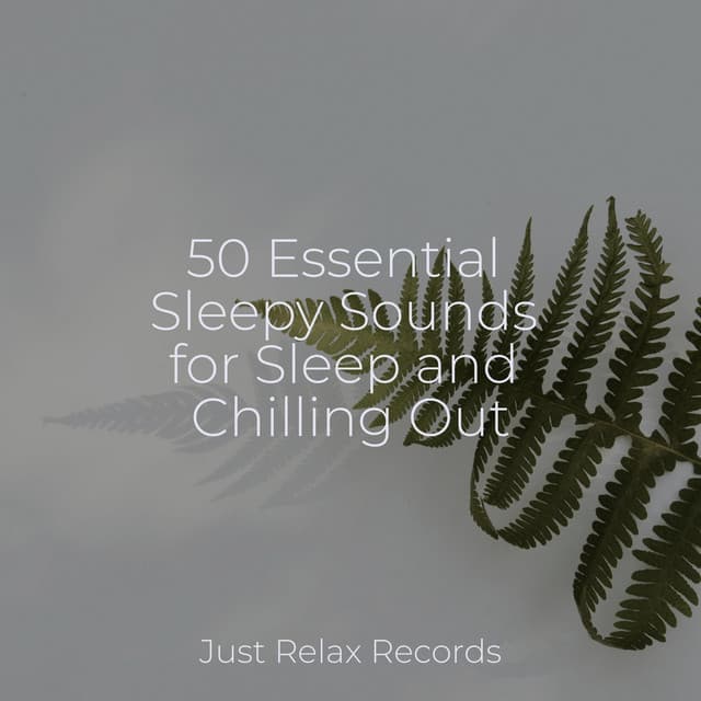 50 Essential Sleepy Sounds for Sleep and Chilling Out - Ambient