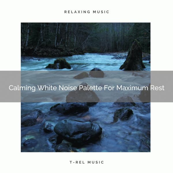 Calming White Noise Palette For Maximum Rest - Ocean Waves For Sleep