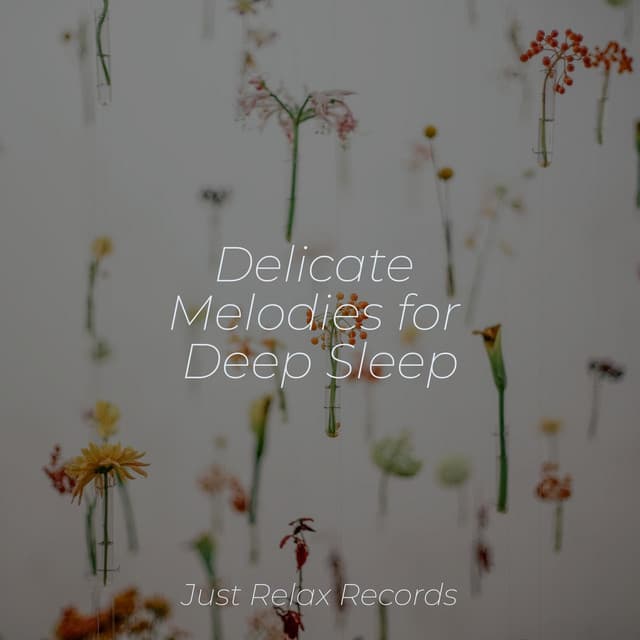 Delicate Melodies for Deep Sleep - Study Music & Sounds