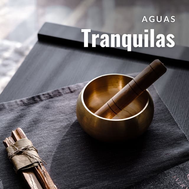 Aguas Tranquilas: Música de Masaje - Cuencos Tibetanos