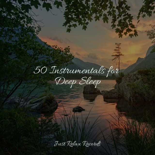 50 Instrumentals for Deep Sleep - Smart Baby Lullaby