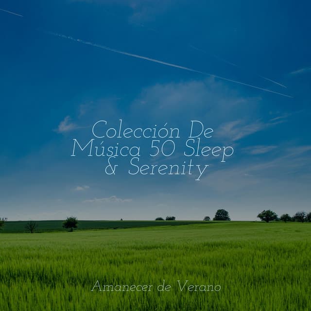 Colección De Música 50 Sleep & Serenity - Relaxing Music