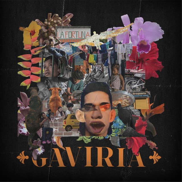 Gaviria - RLX