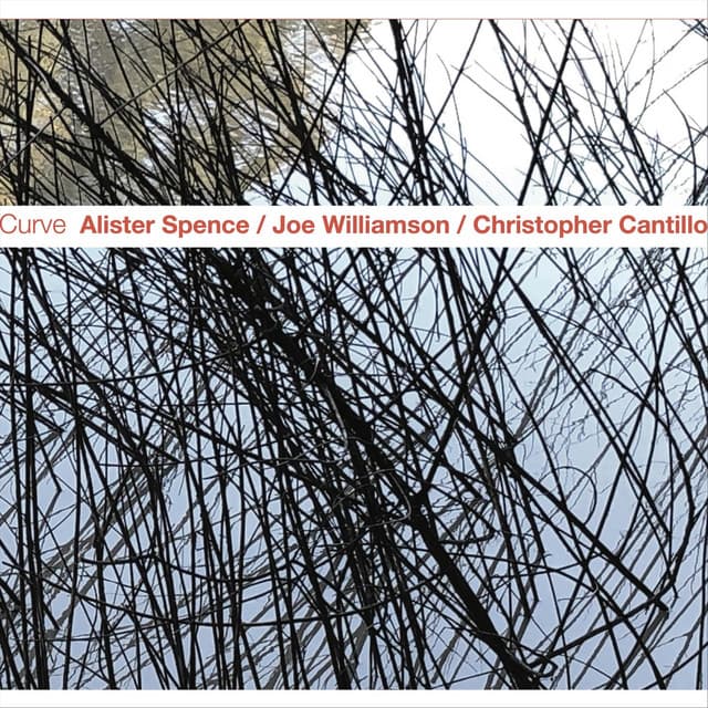 Curve - Alister Spence