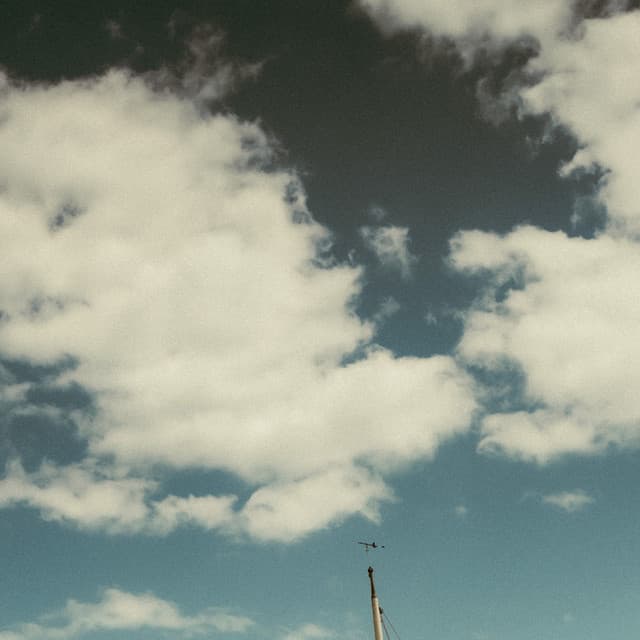 1 Earth: Looking To The Sky - Baltic Nature Sounds