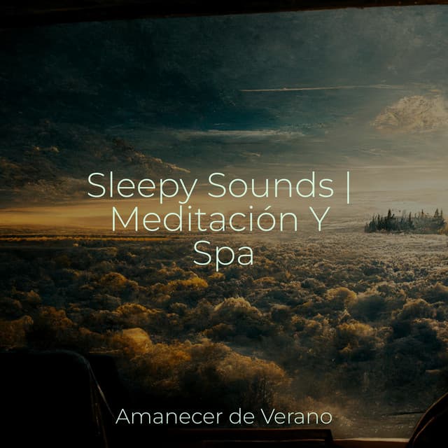 Sleepy Sounds | Meditación Y Spa - Música para Correr