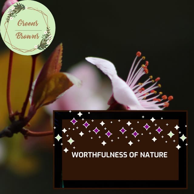 Worthfulness of Nature - Calm Music