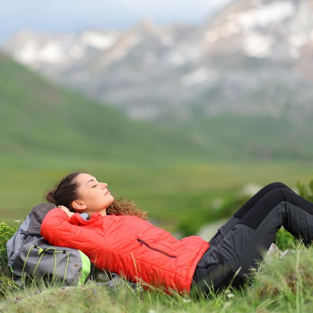 Nature Harmony at Rest: Bird Relaxation for Peaceful Moments - Forest Noir