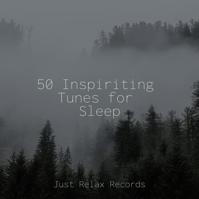 50 Inspiriting Tunes for Sleep - Zen Music Garden
