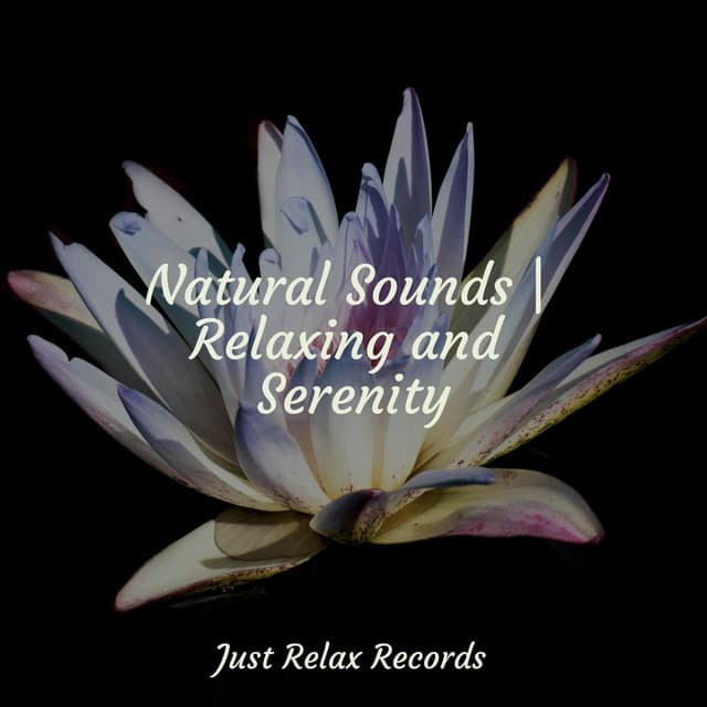 Natural Sounds | Relaxing and Serenity - Música Zen Relaxante