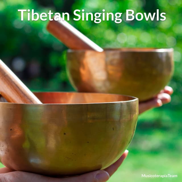 Tibetan Singing Bowls - MusicoterapiaTeam