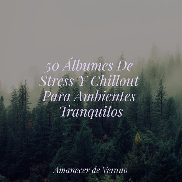 50 Álbumes De Stress Y Chillout Para Ambientes Tranquilos - Meditation Spa