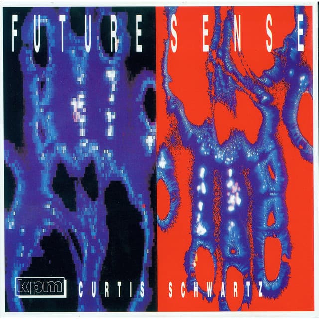 Future Sense - Curtis Schwartz
