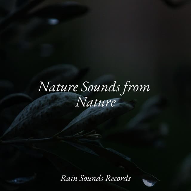 Nature Sounds from Nature - Calming Waves