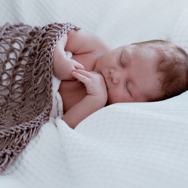 Harmonious Nights: Your Baby's Sleep Bests - Natural Baby Sleep Aid Academy