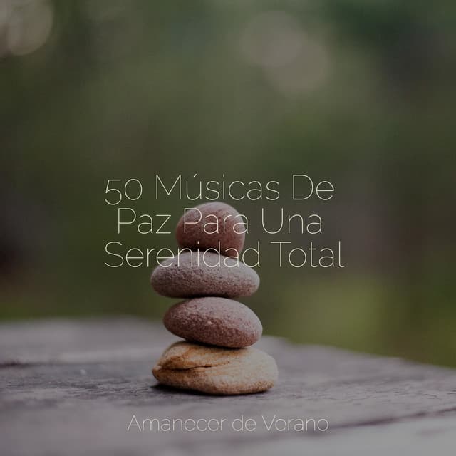 50 Músicas De Paz Para Una Serenidad Total - Study Music & Sounds