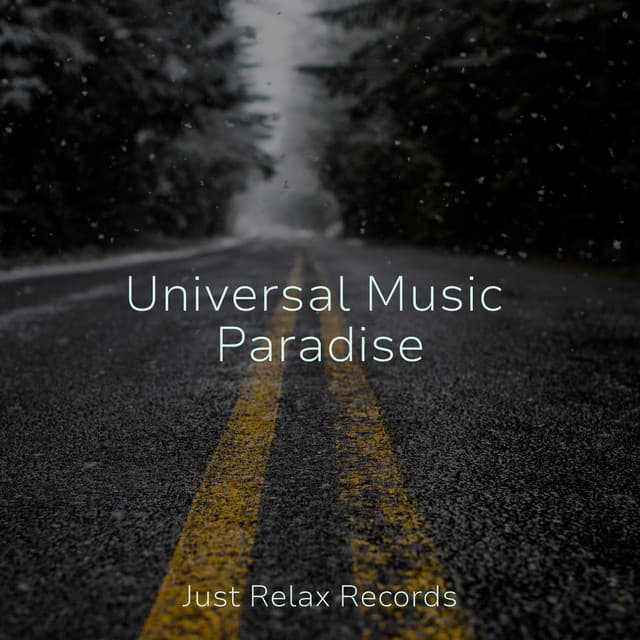 Universal Music Paradise - Meditar Profundamente