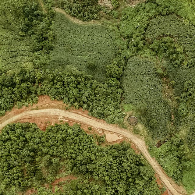 0 Hour Leaves: Ear To Ear Nature - Baltic Nature Sounds