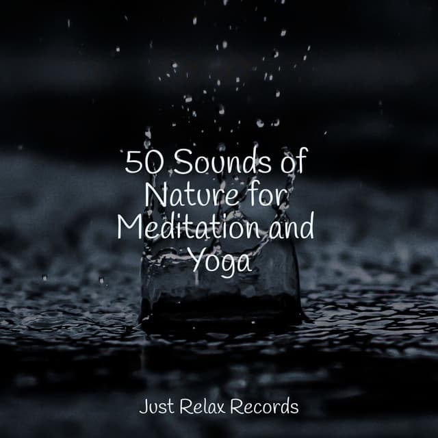 50 Sounds of Nature for Meditation and Yoga - Massage Therapy Music