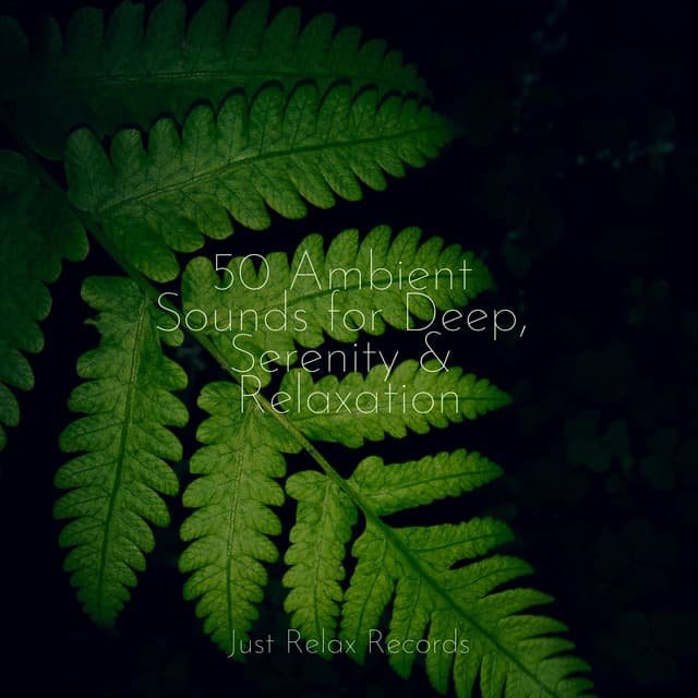 50 Ambient Sounds for Deep, Serenity & Relaxation - Música relaxante