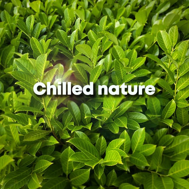 Chilled Nature - Sleep Music
