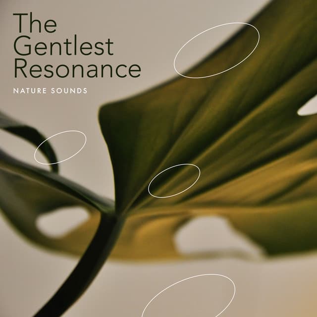 The Gentlest Resonance - Nature Sounds
