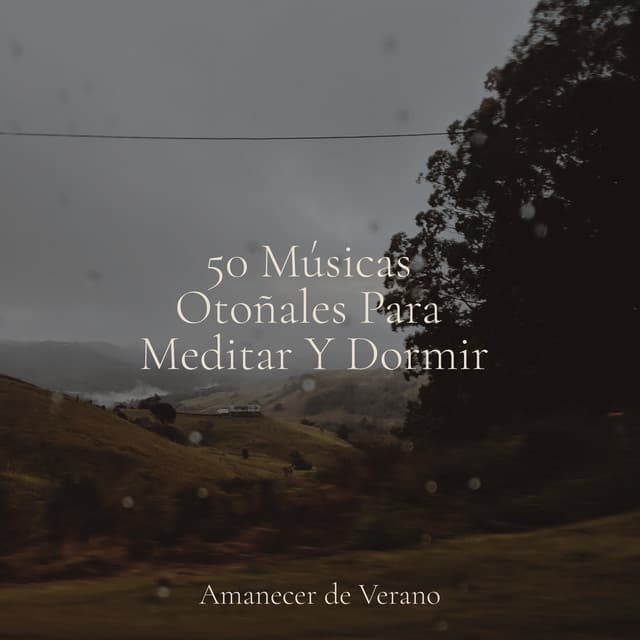 50 Músicas Otoñales Para Meditar Y Dormir - Deep Sleep Relaxation