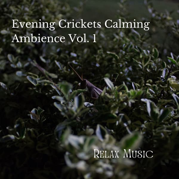 Relax Music: Evening Crickets Calming Ambience Vol. 1 - Sleepy Times
