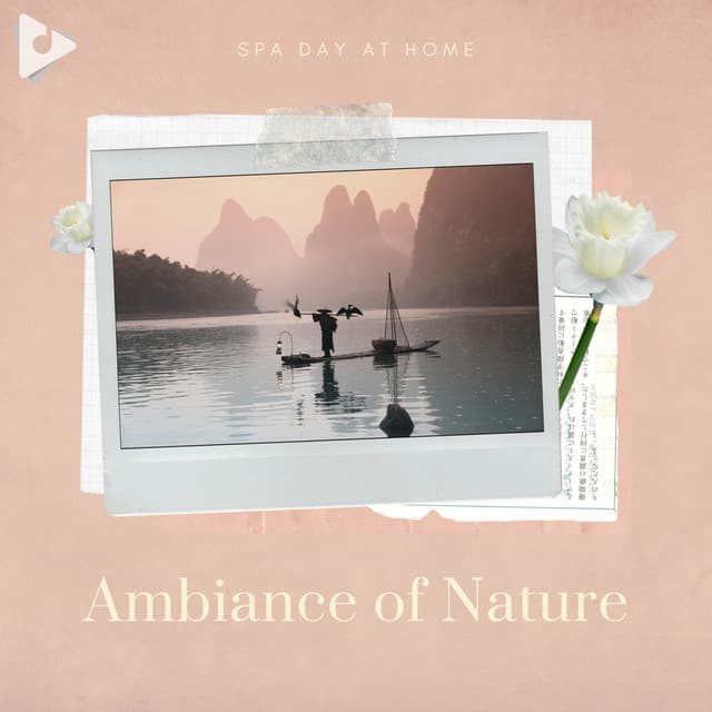 Ambiance of Nature - Spa Day At Home