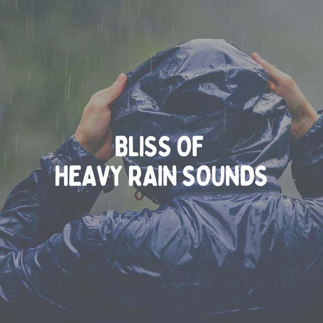 Bliss of Heavy Rain Sounds - The Rain Factory