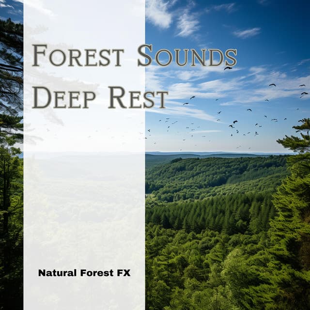 Forest Sounds: Deep Rest - Natural Forest FX