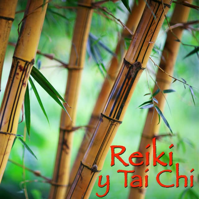 Reiki y Tai Chi Armonía