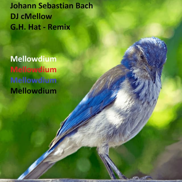 Mellowdium - Johann Sebastian Bach