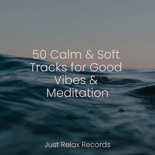 50 Calm & Soft Tracks for Good Vibes & Meditation - Study Music & Sounds
