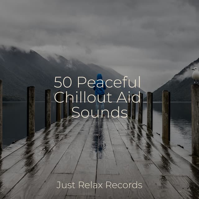 50 Peaceful Chillout Aid Sounds - Nature Sound Collection