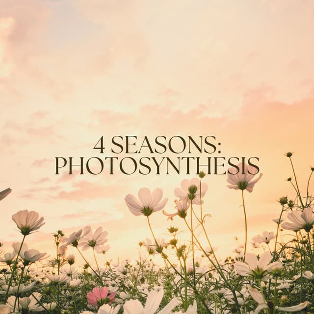 4 Seasons: Photosynthesis - Baltic Nature Sounds